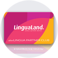 program partnerski afterlingua